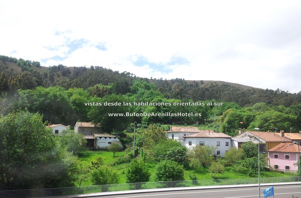 Bufon De Arenillas